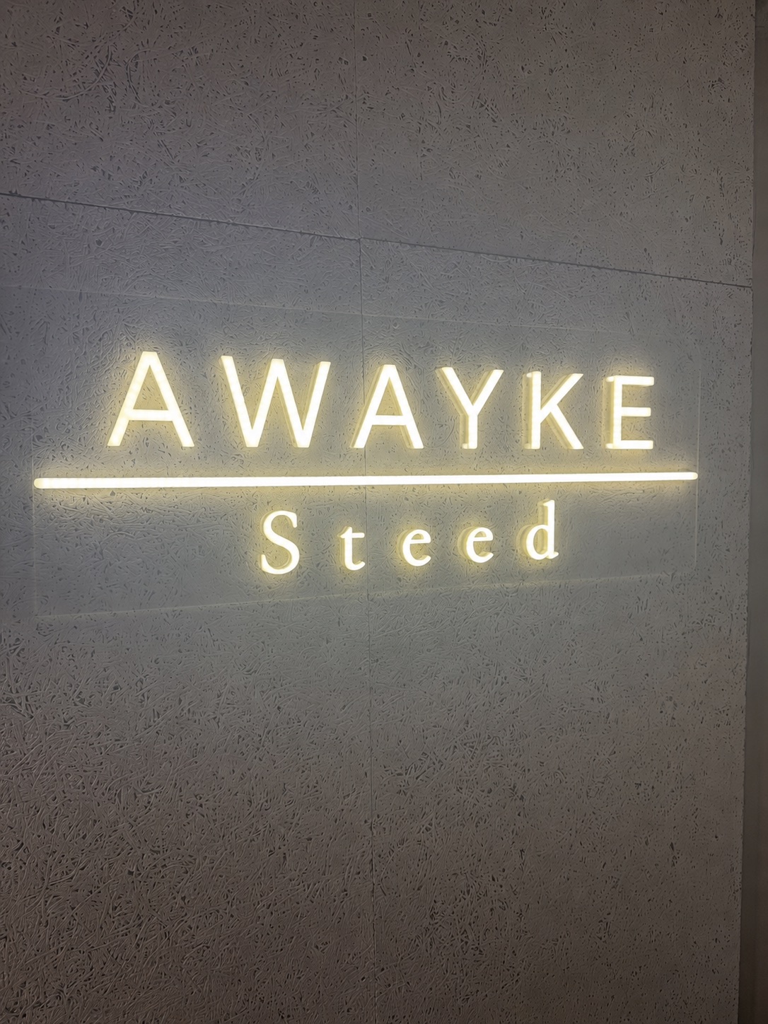 AWAYKE Steed サイン