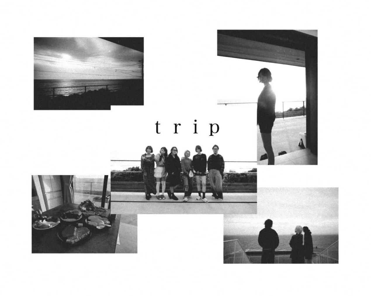 trip